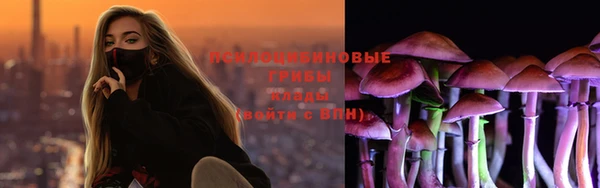 амф Белоозёрский