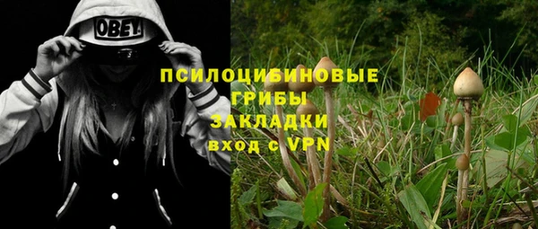 jwh Белокуриха