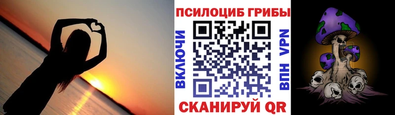 Псилоцибиновые грибы Magic Shrooms  нарко площадка как зайти  Мглин  MEGA рабочий сайт 
